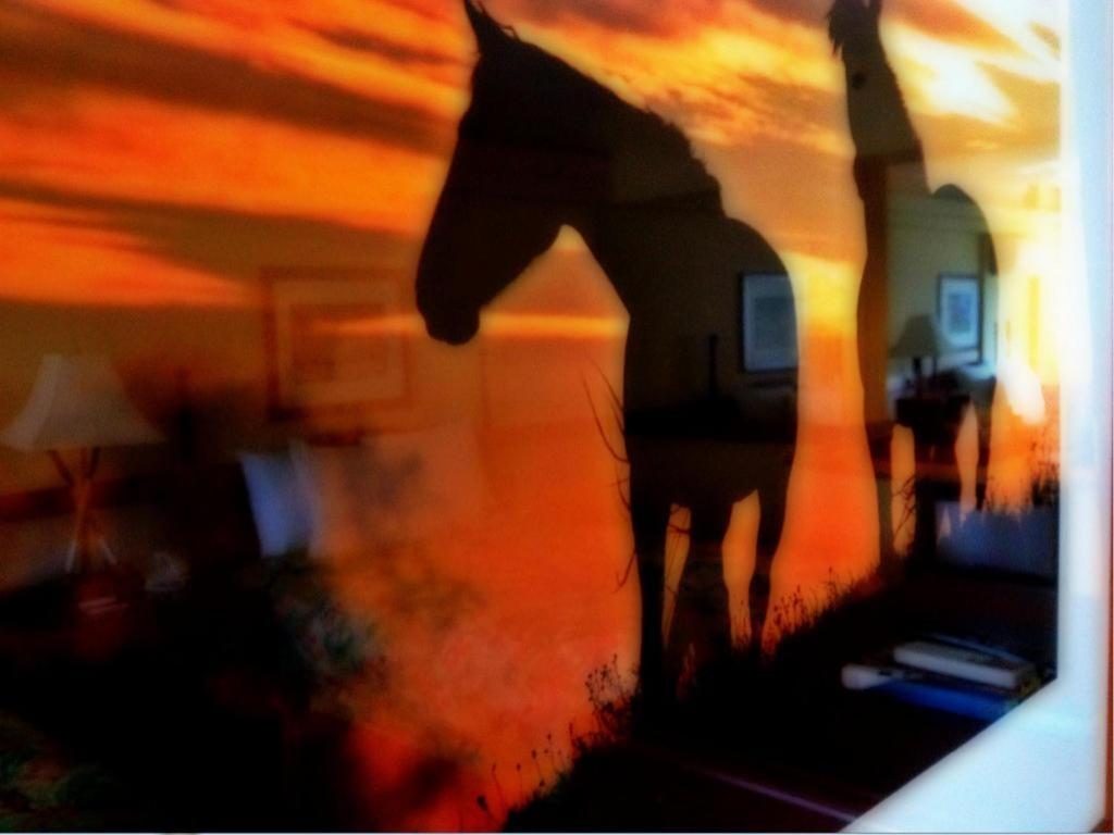 Equus Ξενοδοχείο Χονολουλού Εξωτερικό φωτογραφία